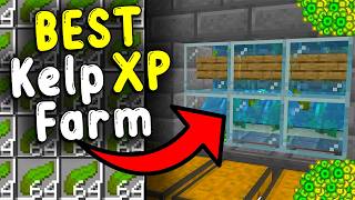 The BEST KELP XP Farm In Minecraft Bedrock 121 [upl. by Attenat]