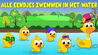 Nederlandse Kinderliedjes  Alle Eendjes Zwemmen In Het Water [upl. by Eadrahs]