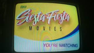 GTV  Siesta Fiesta Movies You’re watching bumper  back to The Breed [upl. by Doe]