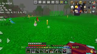 LP 04 I MADE SKELETON FARM AND ENCHANTING AREA  MALAYALAM Sudhy inspired [upl. by Ahtabbat]