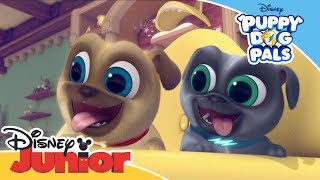 Bobs Robot Dog 🤖 Puppy Dog Pals  Official Disney Channel Africa [upl. by Meier71]