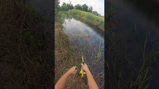 laju sikit bah😭😭😭 borneo sabahsabahantomanharuangabussnakeheadsabahananglerfishing [upl. by Amrac]