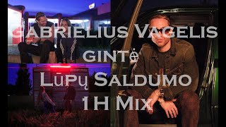 Gabrielius Vagelis Gintė  Lūpų Saldumo 1h mix [upl. by Avek]