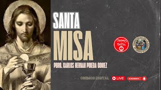 Santa Misa de hoy Martes 8 de Octubre de 2024 [upl. by Horvitz4]