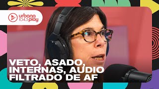 Interna del radicalismo repercusión del asado audio de Alberto sobre el cine nacional DeAcáEnMás [upl. by Montagna]