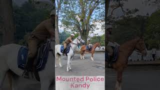 Mounted Police in Kandy  පොලිස් අශ්වාරෝහක කොට්ඨාසය මහනුවර [upl. by Auqinehs953]