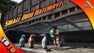 SMALL DINO HATCHERY MASS KAIRUKU HATCHING AND MUTATIONS Ark Survival Evolved Zoo [upl. by Bili]