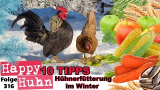 Hühnerfütterung im Winter 10 Tipps für das beste Futter um die Hühner zu verwöhnen HAPPY HUHN E316 [upl. by Adnwahsar]