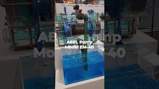 Piston Diaphragm EM Series Pump [upl. by Sandi114]