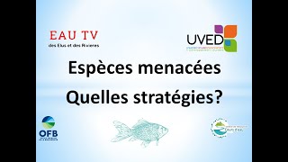 Biodiversité stratégie de préservation des espèces menacées [upl. by Oglesby]