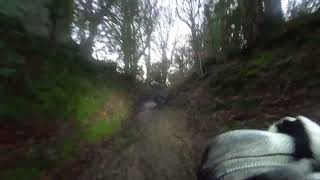 MCC Exeter trial 2024 Tillerton Steep Trifield hooligan [upl. by Nanor]