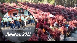 Floreros 2021 de Acala Chiapas  Paseó de la Flor de NILUYARILU para la Casita [upl. by Kimberli]