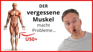 DIESER Muskel macht PROBLEME wenn du Ü50 bist [upl. by Lucie]