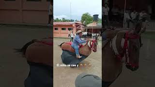 El 🏇🏇🏇🏇 y sus travesuras caballos [upl. by Tobie]