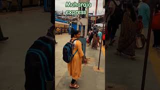 Maharaja express traintrending luxury travel viralvideo train [upl. by Auhsot]