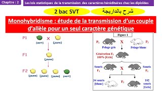 Monohybridisme la transmission dun coupe dallèle pour un seul caractère génétique 2 bac svt biof [upl. by Barker]