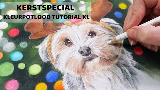 Hoe maak je een tekening origineel KERSTSPECIAL extra uitgebreide kleurpotlood tutorial [upl. by Martelli]