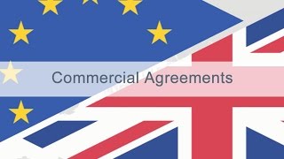 Commercial Agreements [upl. by Nnyliram]