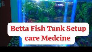 Betta Fish Tank Setup care Medcine [upl. by Eilrak]