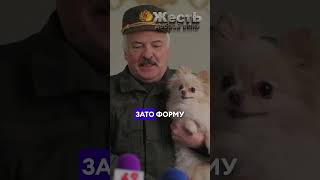 ЛУКАШЕНКО угрожает всему миру ЖестЬДобройВоли пародия лукашенко [upl. by Libna]