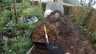 Thermophilic composting with fresh manure 18 day composting berkeley method [upl. by Helali]