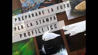 Preparare una stampa  Profili ICC con Saal Digital [upl. by Milburt554]