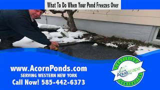 What To Do When Your Fish Pond Freezes Over In NY [upl. by Noreh]