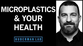 The Effects of Microplastics on Your Health amp How to Reduce Them [upl. by Haonam]