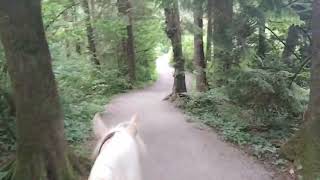 horse trail ride in Fort Langley [upl. by Sioled35]