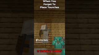 POV Forgetting to place torches… minecraft minecraftshorts minecraftmemes repost [upl. by Ecahc]