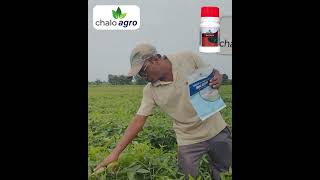 Chalo Agro  Bazuka  Mahaclean [upl. by Buchanan]