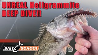 The TRUTH About Fishing with Hellgrammites Frank Scalish DEEP DIVE [upl. by Mckale]