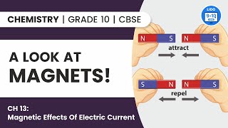 Class 10 Physics Chapter 13  Magnetic Field Due to a Current Through a Straight Conductor [upl. by Warder411]