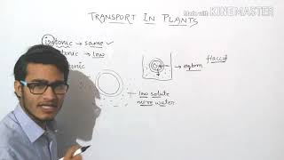 Hypertonic Hypotonic and Isotonic Solutions [upl. by Eulalie]