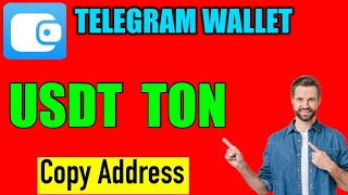 How to copy USDT TON wallet address in telegram wallet  usdt wallet address kaise nikale telegram [upl. by Wier28]