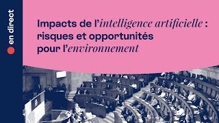 Quels impacts de lintelligence artificielle sur lenvironnement   En direct [upl. by Earahs]