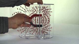 PH EM MF DEMO 70011A V0513 3D Magnetic Field Demonstrations Bar and Horseshoe Magnets [upl. by Liza]