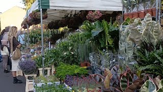 Columbia Road Flower Market London [upl. by Kalvin]