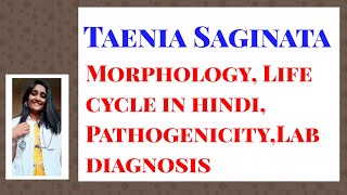 Taenia Saginata Morphology Life cycle in hindi PathogenicityLab diagnosis [upl. by Soiritos]