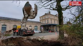 VIDEO A Niort une pelle horsnormes pour déplacer les arbres de la gare [upl. by Primaveras306]