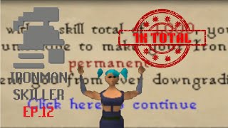 1000 Total Level Maxing a LVL 3 Ironman Skiller 125 OSRS [upl. by Emylee]