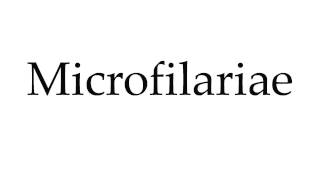 How to Pronounce Microfilariae [upl. by Aidnahs629]