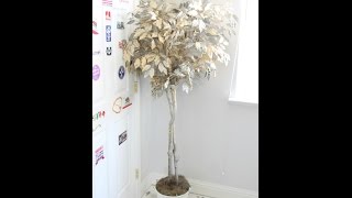 Dumpster Makeover Ficus Tree Trashy Tuesday [upl. by Neirb]