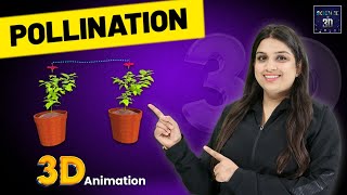 Types and Agents of Pollination in 3D Animation  Science in 3D [upl. by Wilcox]