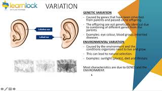 GCSE AQA Biology  B6 inheritance variation and evolution  variation [upl. by Glynnis304]