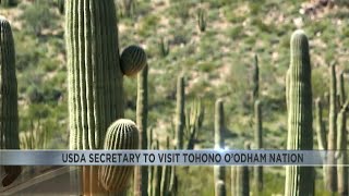 Tohono Oodham Nation will celebrate groundbreaking broadband internet program [upl. by Kirbee]