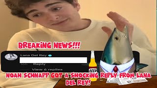 Noah Schnapp from Stranger Things got a shocking reply from Lana Del Rey trending news [upl. by Kearney]