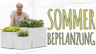 SOMMERBEPFLANZUNG  QUADRATISCH PRAKTISCH GUT  TERRASSEN DEKO  DIY [upl. by Egap660]