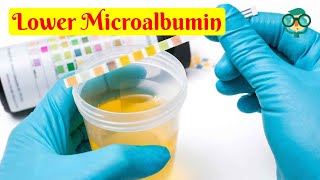 How to Lower Microalbumin How to Reduce Urine Microalbumin How to Lower Albumin Creatinine Ratio [upl. by Akemet943]