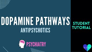 Antipsychotics amp Dopamine Pathways  Medical Tutorial [upl. by Einahteb]